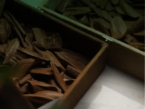 العود والبخور